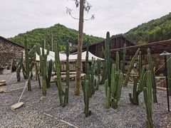 -MOJ coffee(瓯海泽雅水碓坑店)