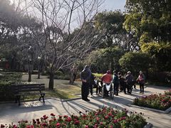 -徐家汇源景区-衡山公园