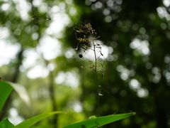 -都江堰普照寺