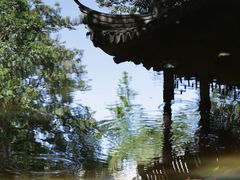 -秋霞圃