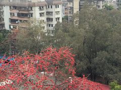 -中山大学附属第三医院(天河院区)