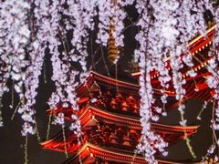 -浅草寺