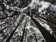 -比叡山
