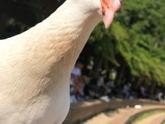 -音乐台