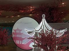 -Tiffany & Co.蒂芙尼
(南京德基广场店)