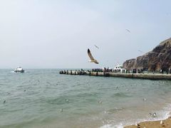 -海驴岛(荣成市)