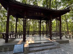 -三门江国家森林公园
