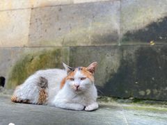 -西园寺素食(西园弄戒幢律寺店)