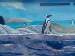 -临沂极地海洋王国