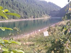 -武陵山森林公园