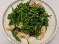 巧拌桃仁丝瓜秧-东兴楼(通州店)