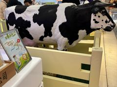 -红星前进面包牛奶公司(君太店)