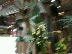 -范设计花园餐酒咖·中西餐·咖啡厅·酒馆