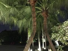 -厦门日月谷温泉渡假村