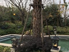 -苏州湾王焰温泉度假酒店