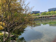 -嘉定紫藤园