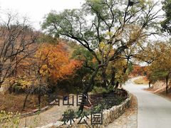 -北京西山国家森林公园