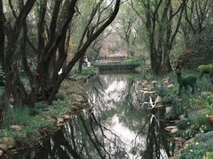 -上海共青森林公园