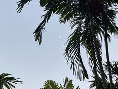 -深圳湾公园(南山区)