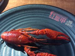 -红盔甲·小龙虾(天钥桥店)