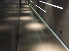 -威尔仕健身·游泳(KING88店)