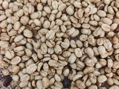 -Torch Coffee 炬点咖啡