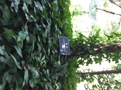 悦华酒店-厦门悦华酒店