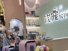 -钦宠·猫咪售卖·洗护·寄养(东圃旗舰店)