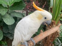 -南宫五洲植物乐园