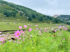 -克什克腾世界地质公园青山景区