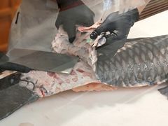 -许爷家·生态湖鲜(徐汇日月光店)
