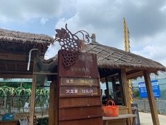 -海堤葡萄园中小学生研学基地