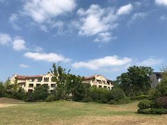 -上海崇明金茂凯悦酒店