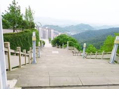 -铁山坪森林公园