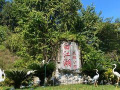 -广州白江湖森林公园