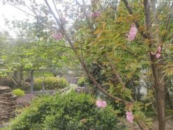 点击看大图 -莲生母婴月子中心(清水河公园店)
