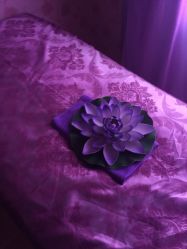 -本真坊美容美体沙龙