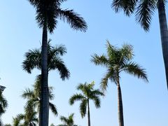 -广东科学中心