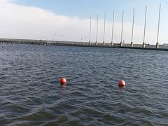 -碧海金沙