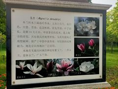 -裕华世纪公园