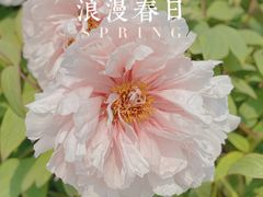 -陕西省西安植物园