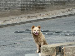 -丁村民俗博物馆