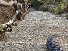 -梧桐山风景名胜区