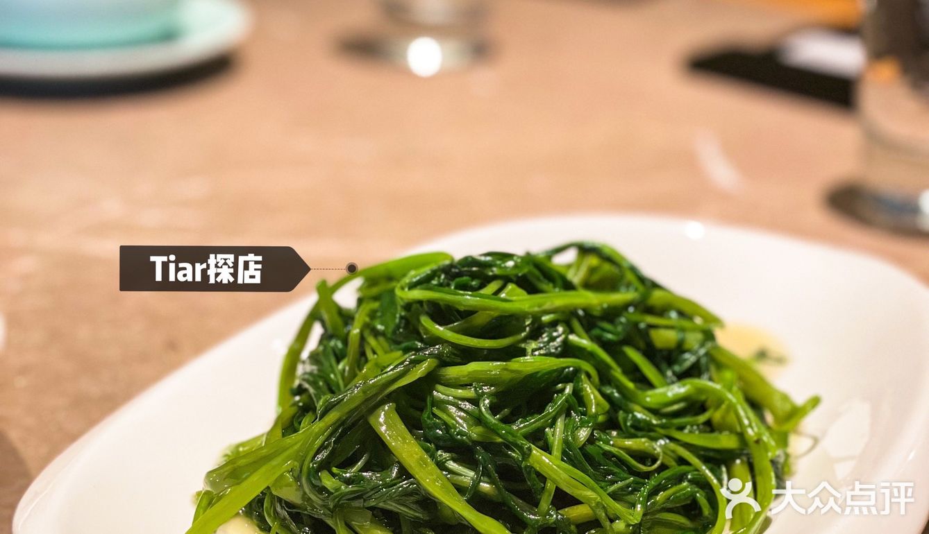 Tiar探店｜结庐于椿，开启融合川菜🌶之旅