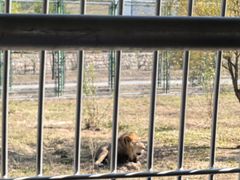 -鄂尔多斯野生动物园