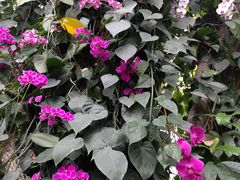 -郑州植物园