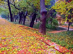 iphone_upload_pic-八大关景区