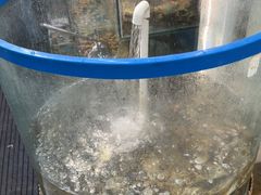 -仙螺岛海鲜自助餐厅(总店)
