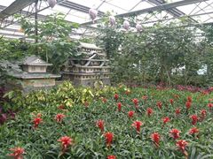 -南宫五洲植物乐园