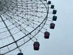 -琴岛之星摩天轮
